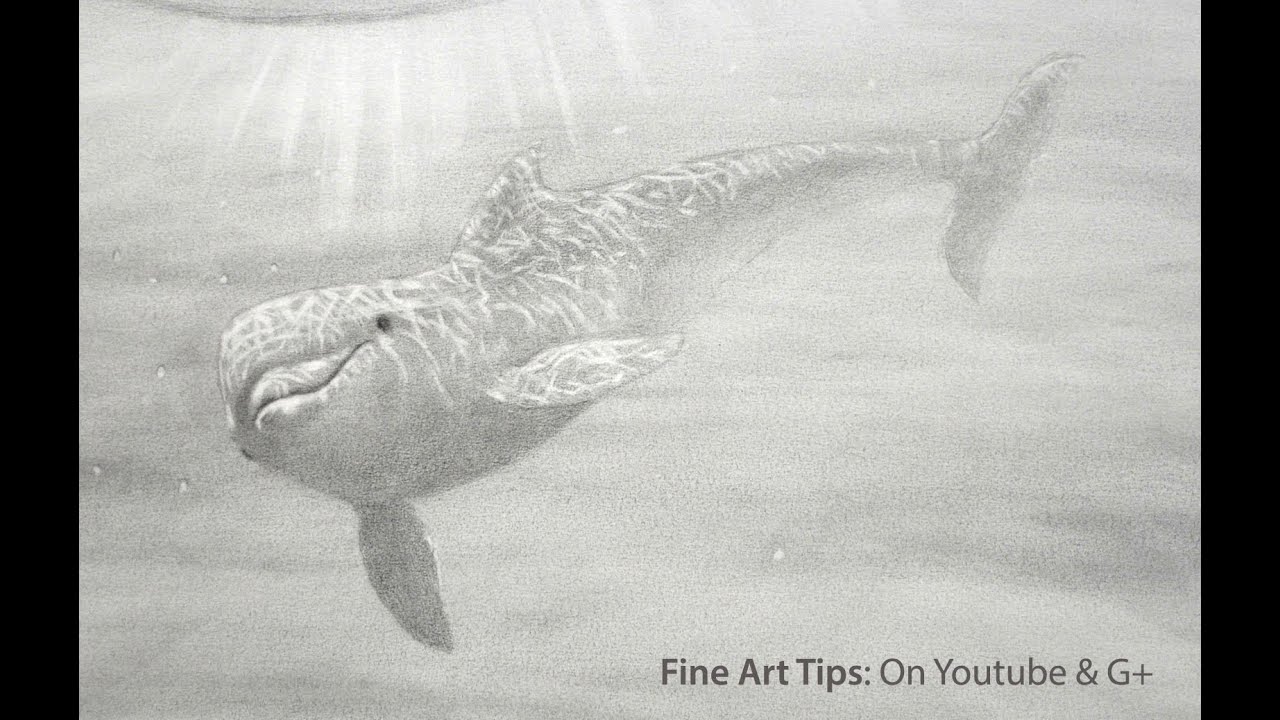 How to Draw a Dolphin Under Water - Как нарисовать дельфина