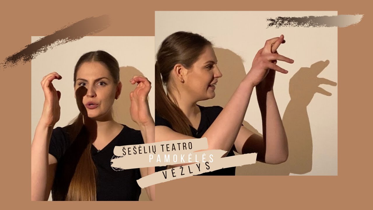 Šešėlių teatro pamokėlės | Vėžlys