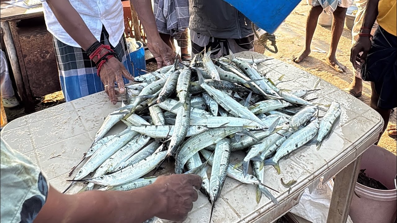 புதன்கிழமை மீன் மார்க்கெட் விலை விபரம் || muthukkuda Fish auction|| Mar 04,2026
