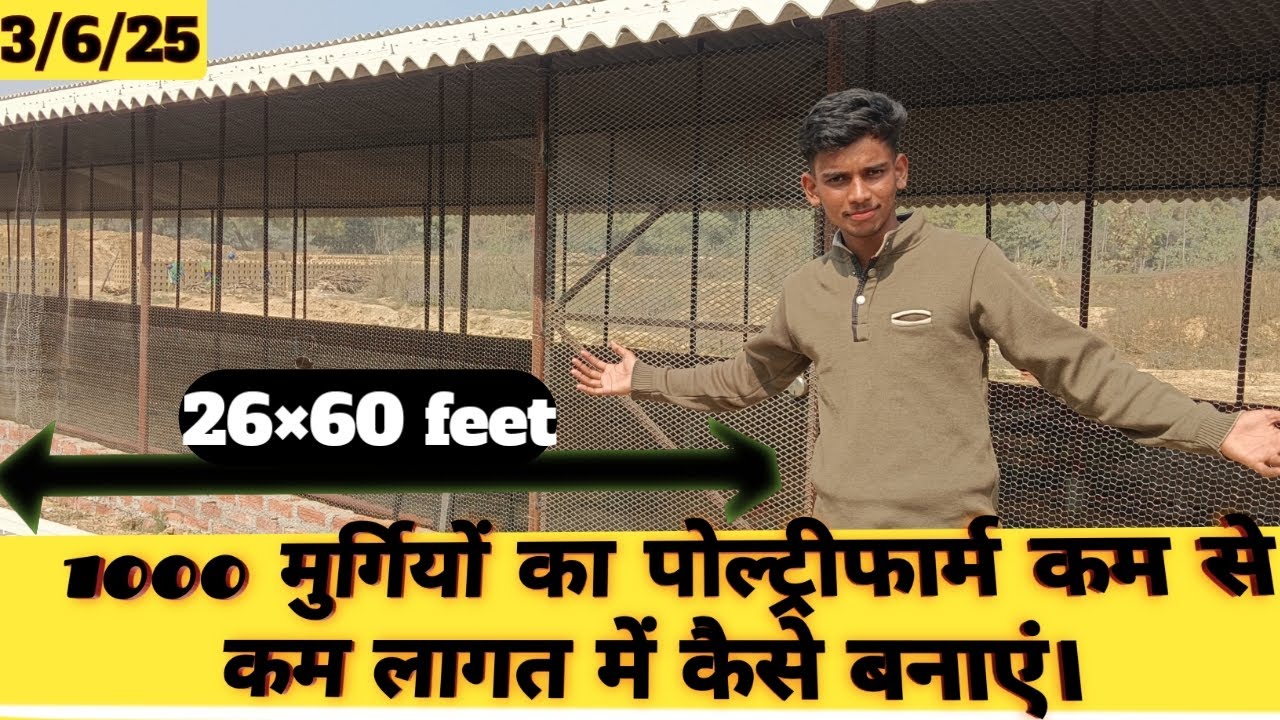 2 लाख में नया पोल्ट्री फॉर्म बनाया 1 हज़ार मुर्गियों का 🐔🐔