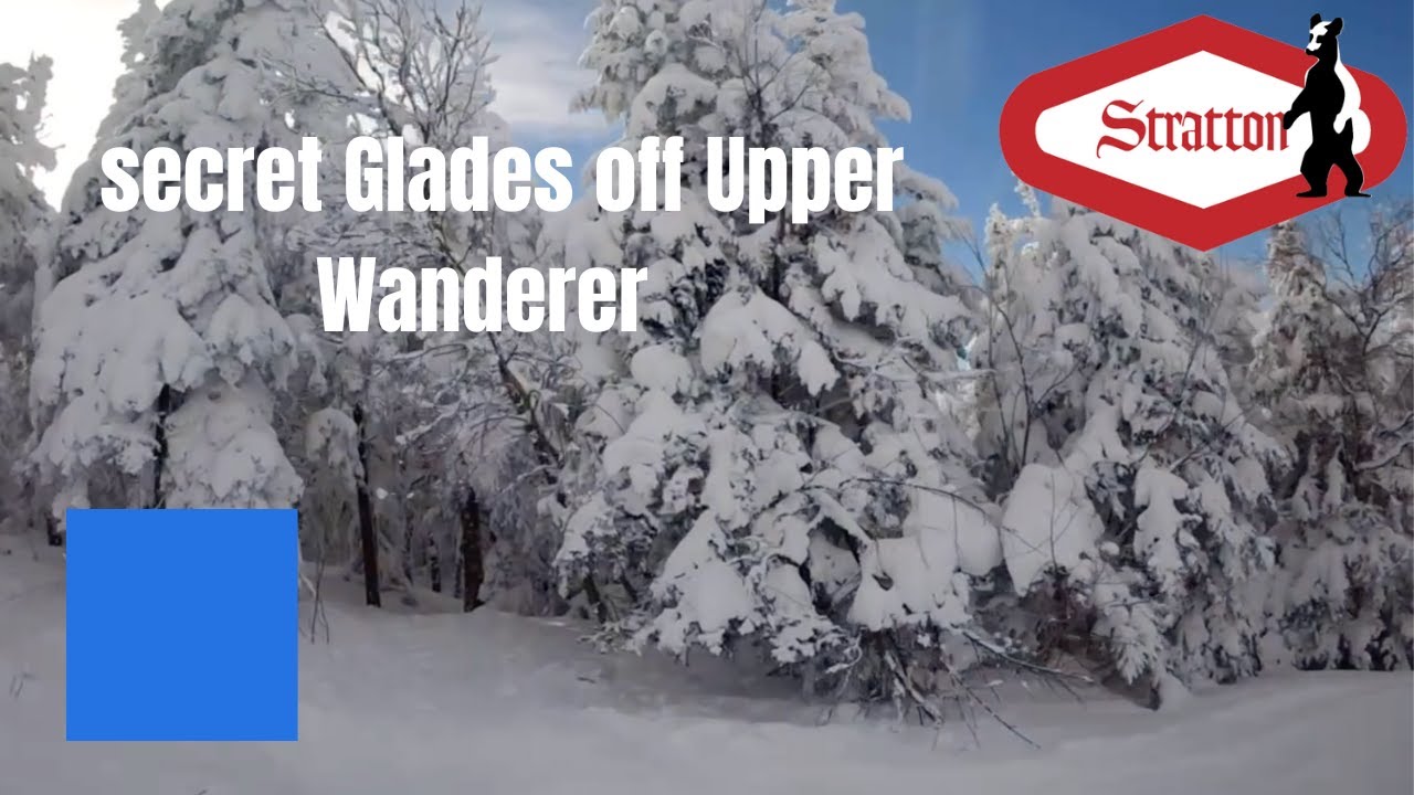 Secret glades off Upper Wander (Stratton Mountain VT)