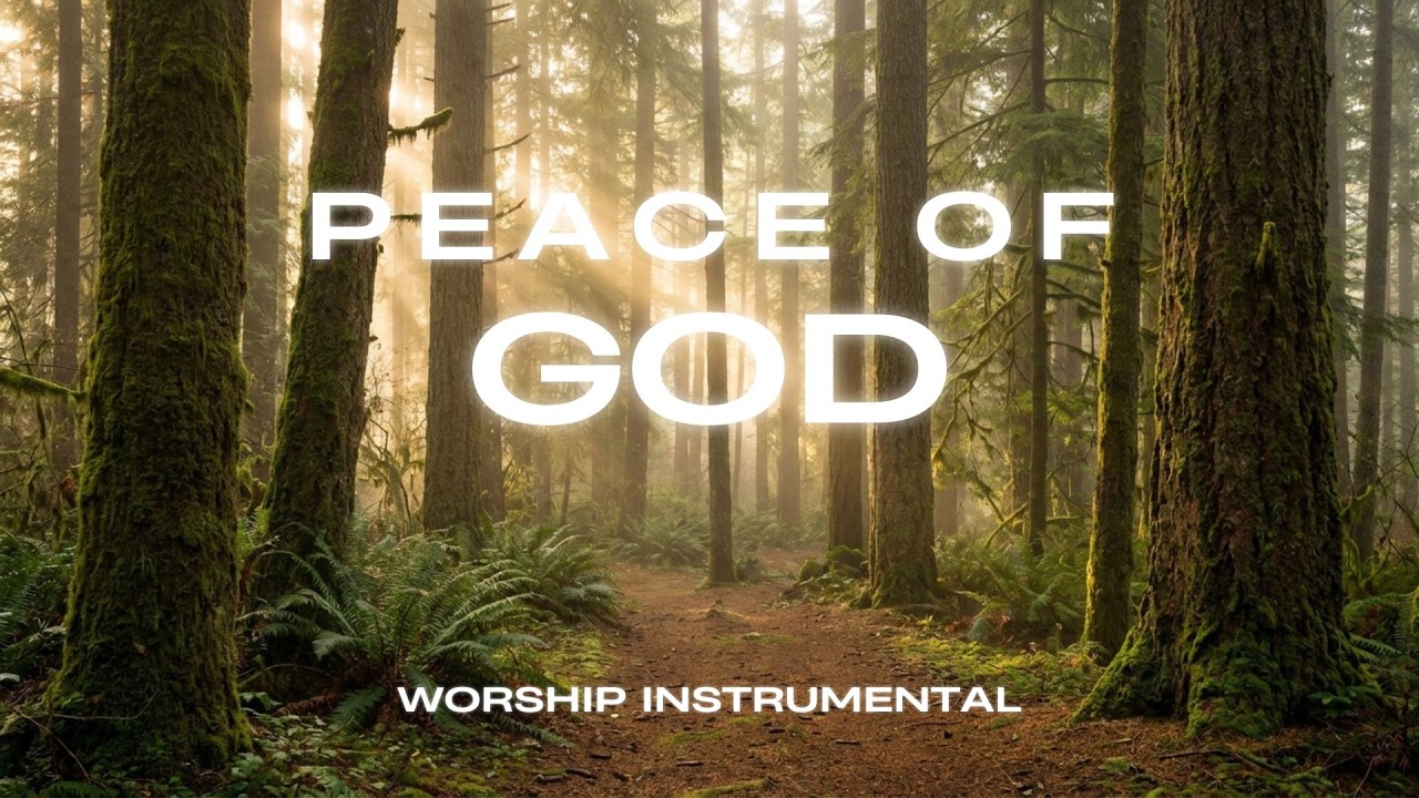 Peace Of God 🍃 Quiet Worship Piano | Rest in God’s Word & Peace