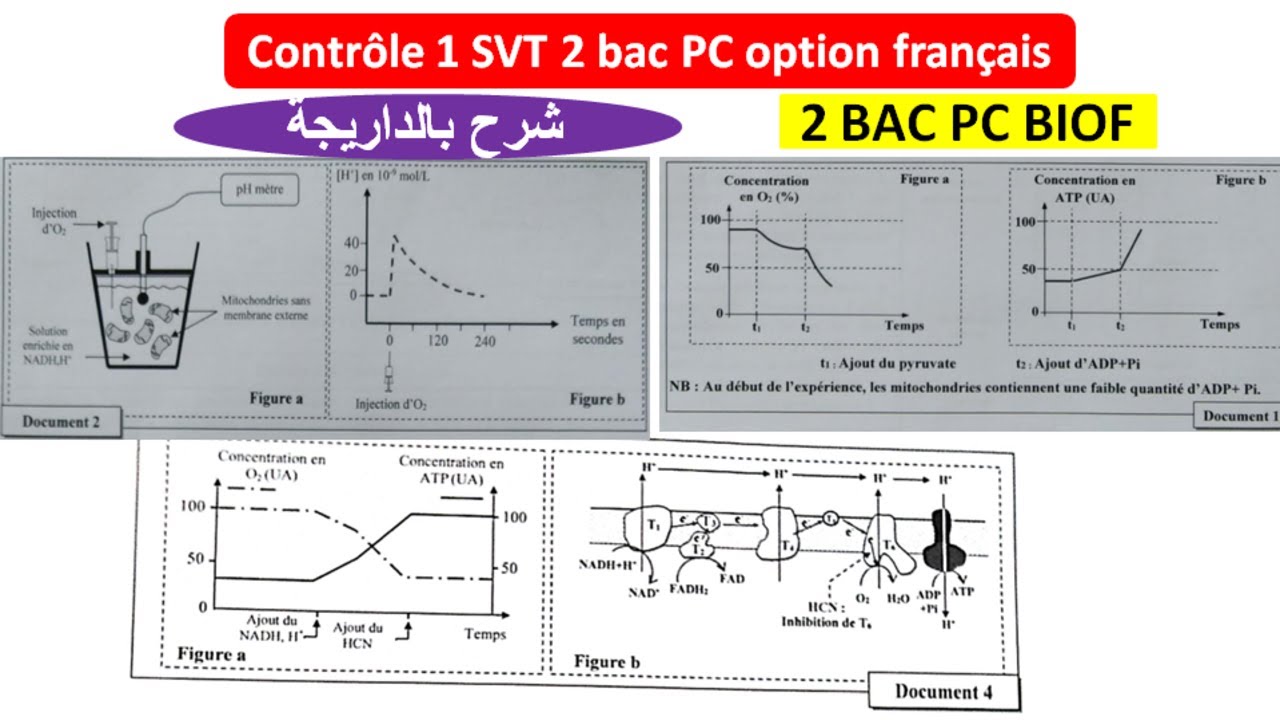 Contrôle 1 svt 2 bac pc option francais (تصحيح الفرض بالداريجة)