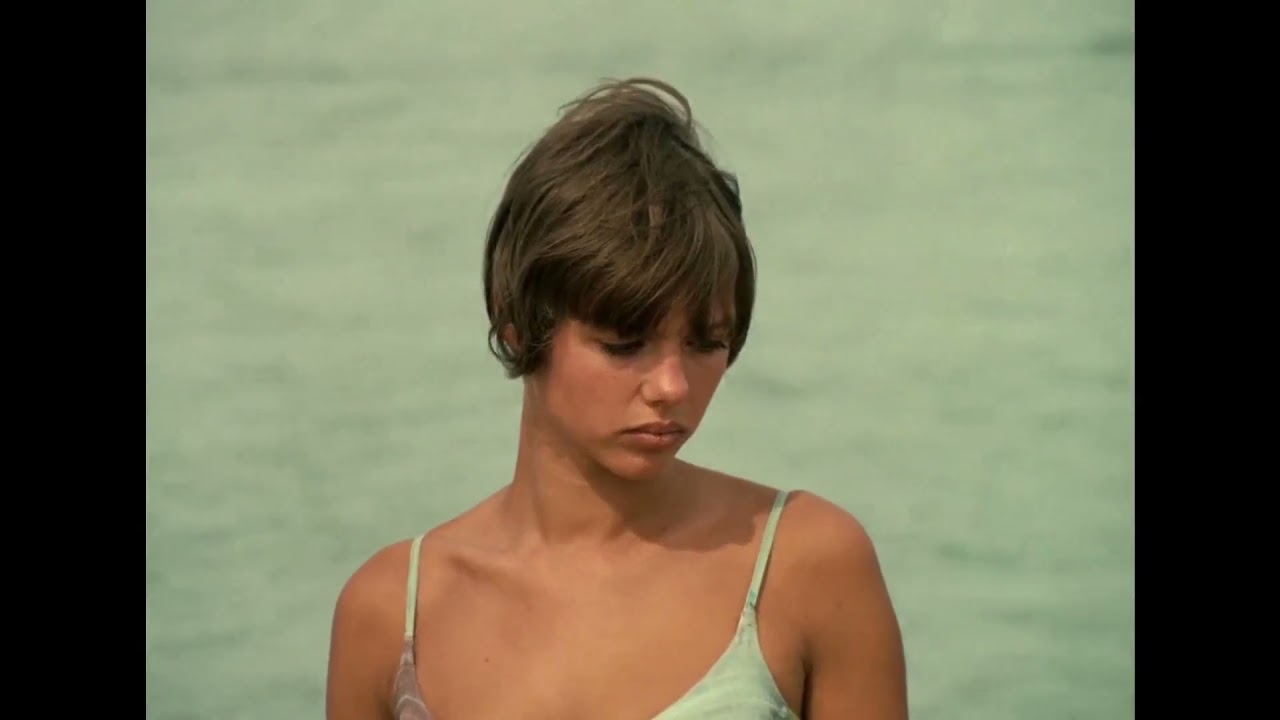 John Moods - New Spring (La Collectionneuse)