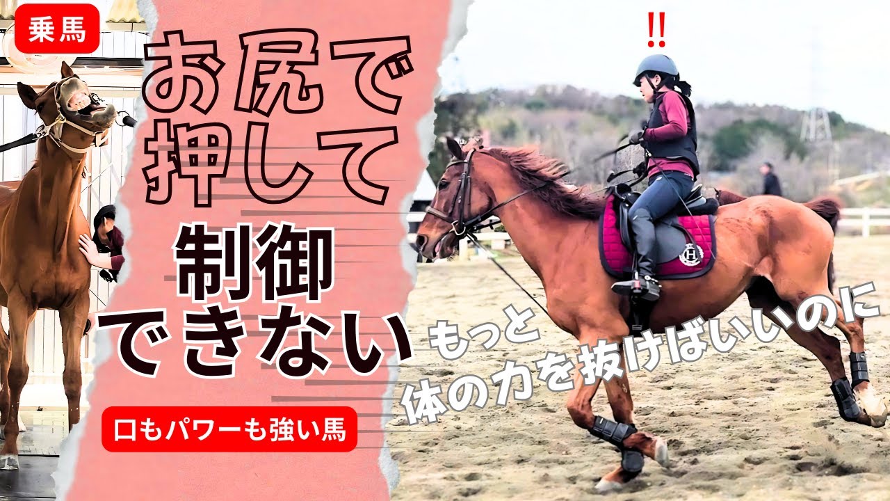 「乗馬」お尻で押して制御できない