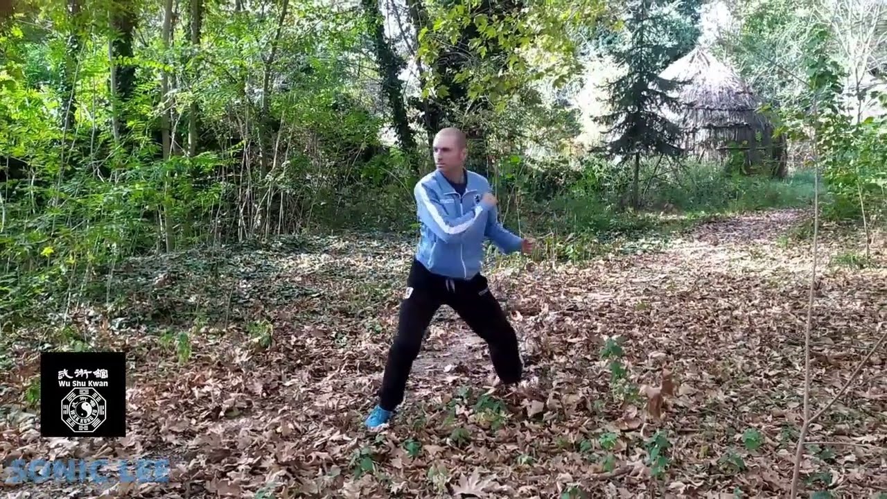Wu shu kwan kung fu by Sonic lee original techniques