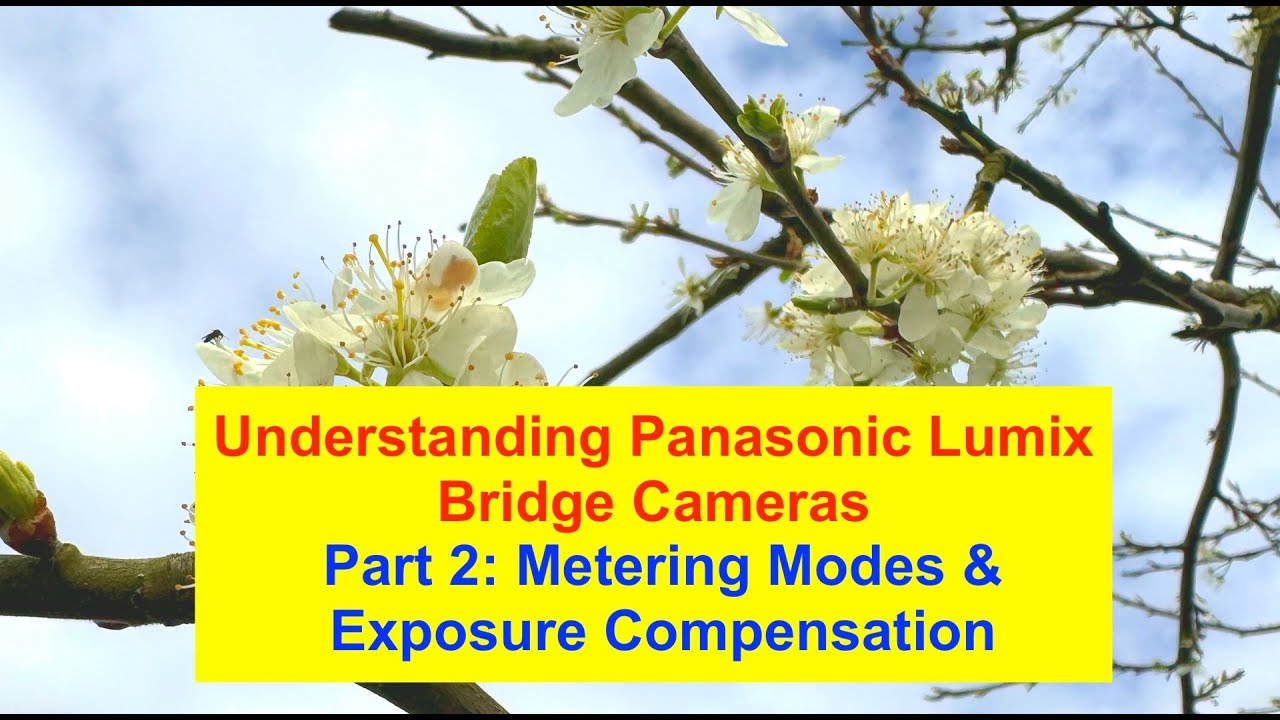 Understanding Panasonic Bridge Cameras #2  Exposure Metering