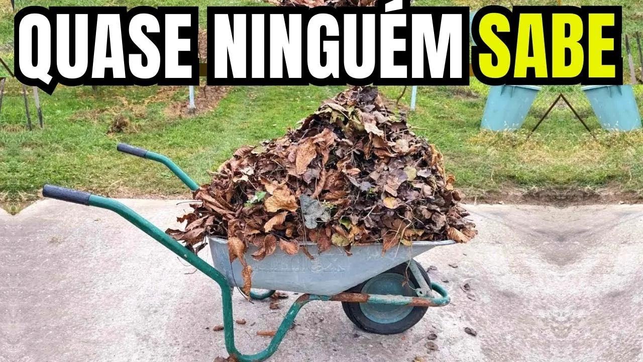VOC&Ecirc; NUNCA MAIS JOGAR&Aacute; Folhas Secas no Lixo depois de ver isso