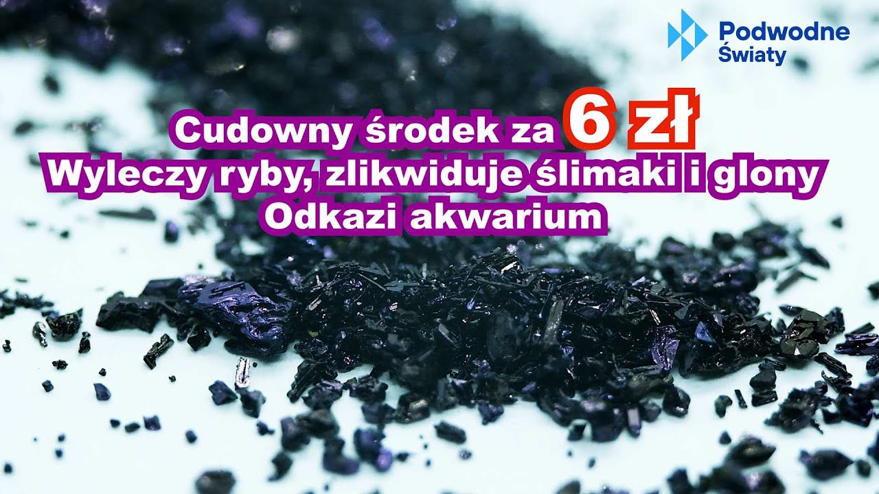 Cudowny środek za 6 zł. Wyleczy ryby, zlikwiduje ślimaki i glony. Odkazi akwarium.