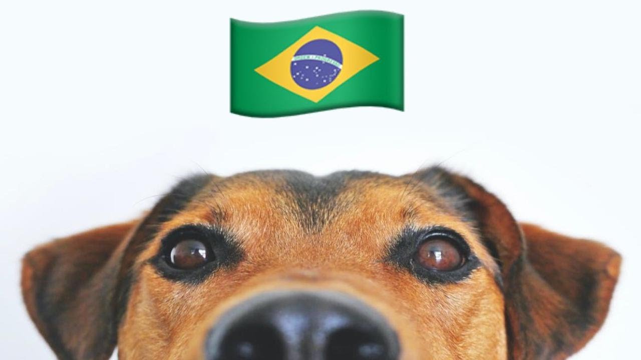 Preposiciones de lugar en portugués #portuguesavanzado #15