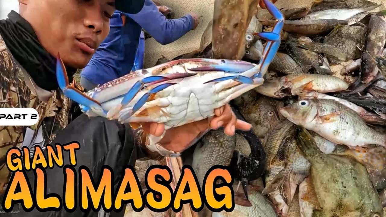 P2 - Nakahuli Kami ng mga Jumbo Alimasag - EP1668
