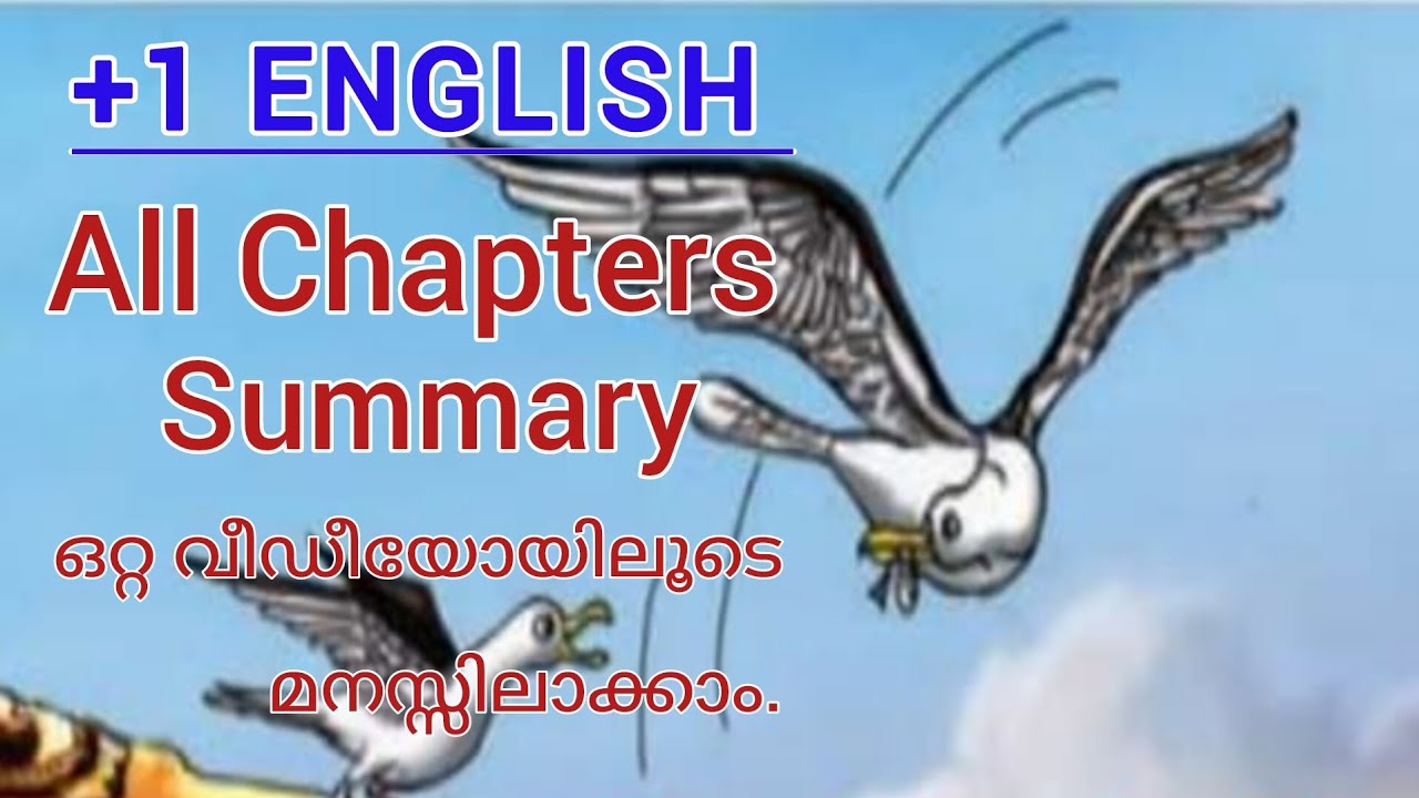 Plus one English| All Chapters Summary