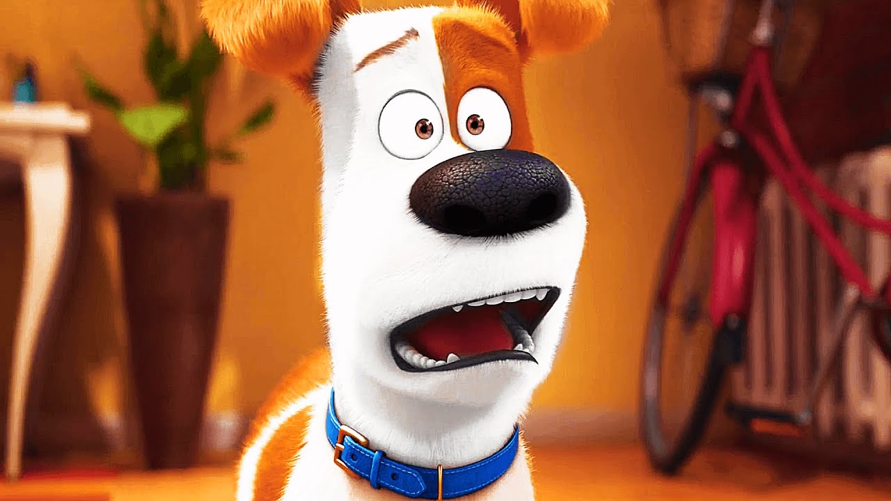 THE SECRET LIFE OF PETS Clip - 