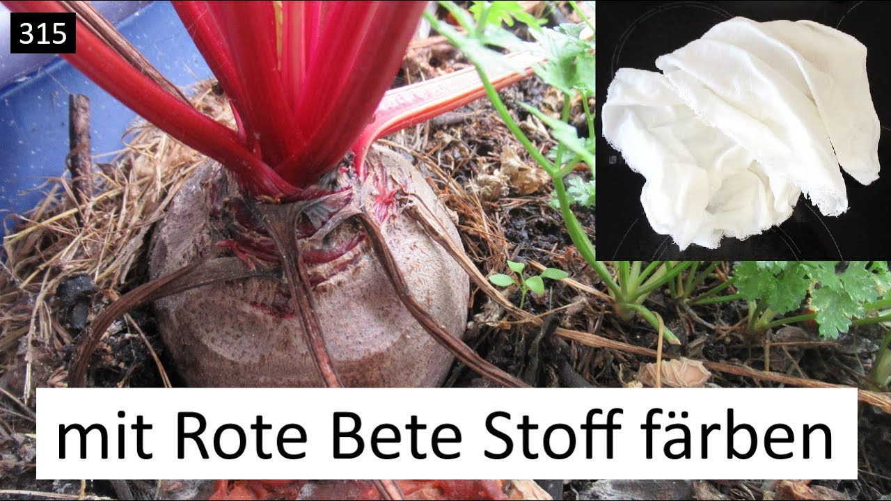 Färbt Rote Bete Stoff? #Video315