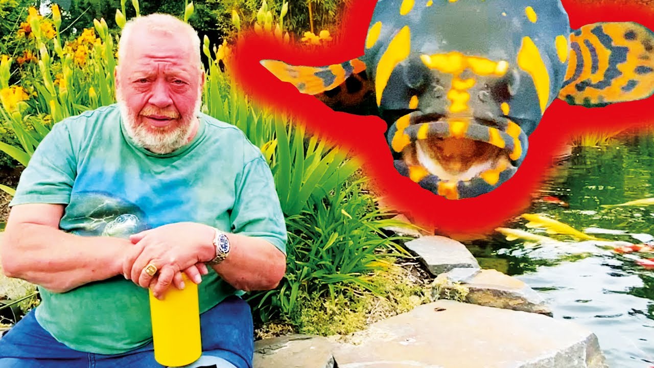 ZACKENBARSCH UND TOLLE KOIS - NORBERTS KURZURLAUB IN RÖßLERS PARADIES - FREUNDE AUS NORBERTS WELT
