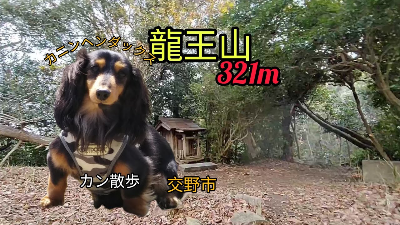 交野三山の