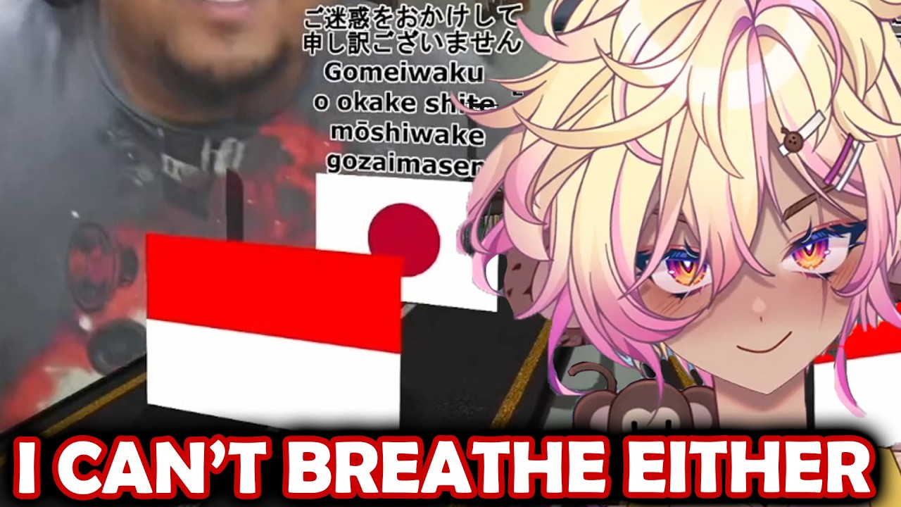 KOKO Watches NEW Memes… Chat Is Literally GASPING