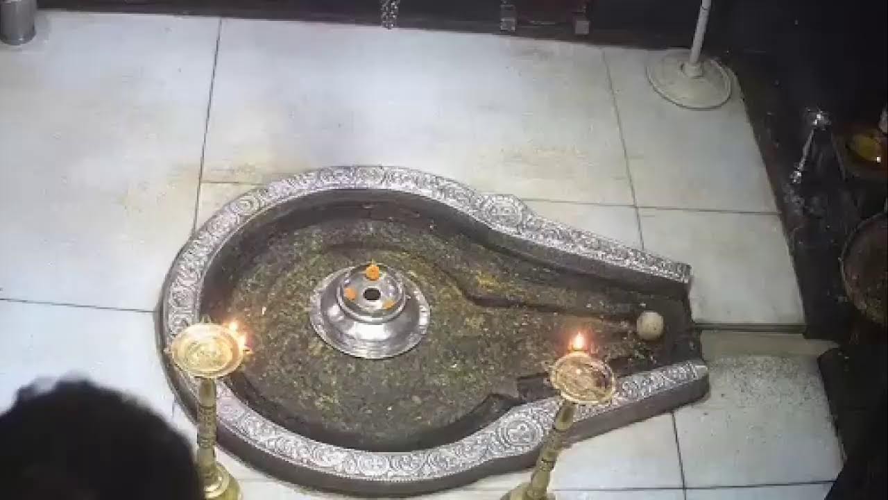 Trimbakeshwar Devsthan Trust Live Stream