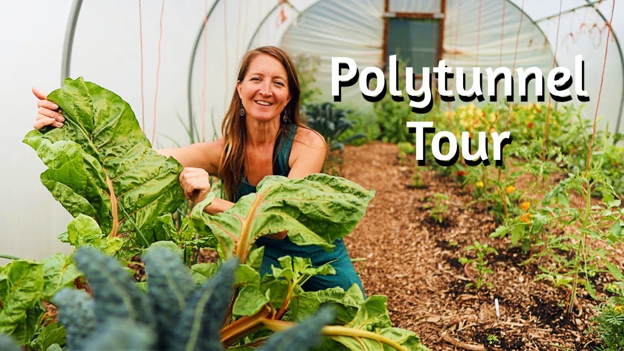 Value of Undercover Growing Space For Self Sufficient Gardening - Summer Crops to Super Sized Greens