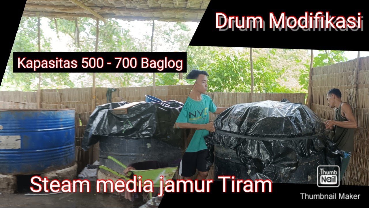 Proses steam Baglog dengan Drum kapasitas 500 baglog menggunakan Kompor #jamurtiram #petanimuda