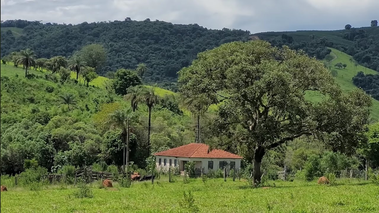 Olha oque tem nas montanhas de Alpinopólis MG