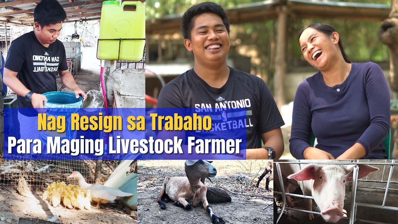 Nag Resign Sa Trabaho Para Maging Livestock Farmer