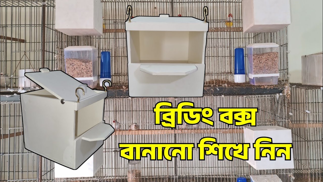 ব্রিডিং বক্স | নিজেই তৈরি করুন ফিঞ্চ পাখির ব্রিডিং বক্স
