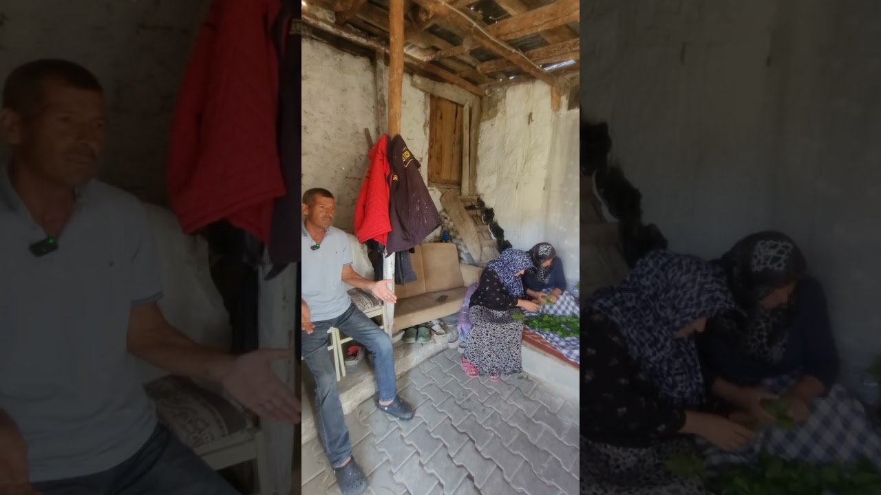 Çamlıdere MuzrupAĝacin köyü ( 13 dakikalık )