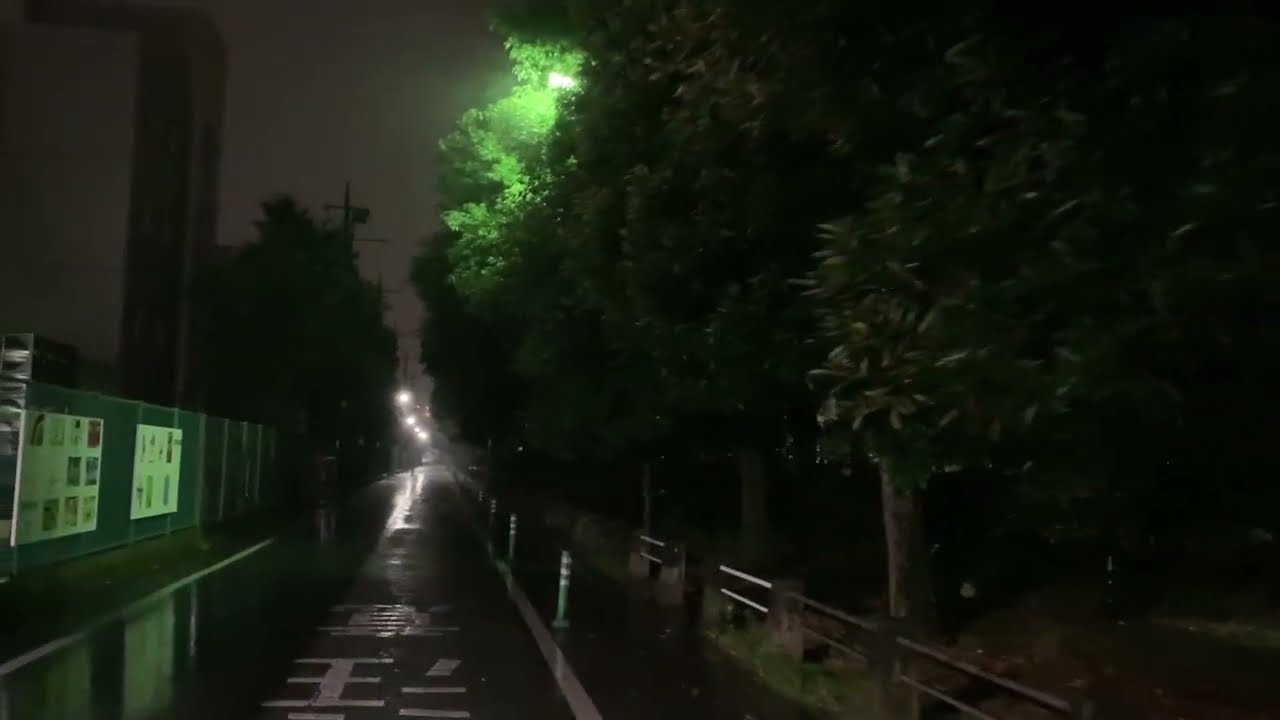 ASMR Japan Thunderstorm Rain Walk 2023.07.04 Ambience Sound Sleep Meditate Relax Tokyo Suburb