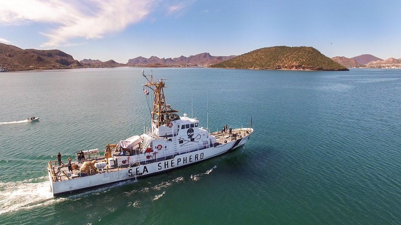Operation Milagro II: Vlog 08 - Return of the Farley Mowat