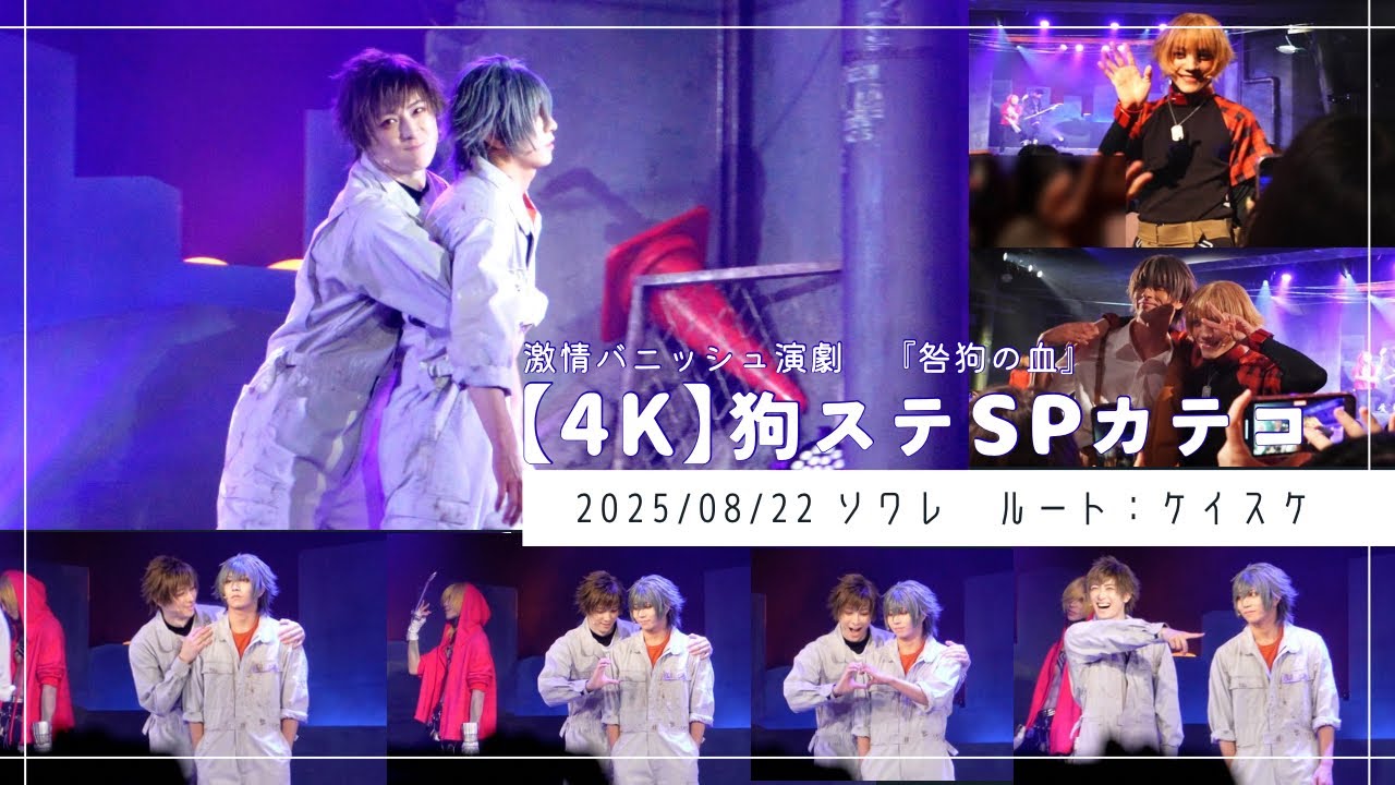 【4K】 狗ステ（咎狗の血） ケイスケルート千秋楽 撮影OKカテコ  20250822