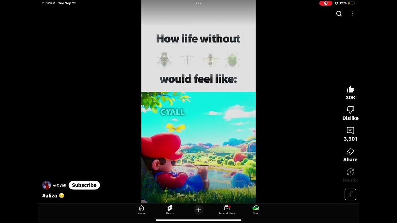 So true @Cyall 