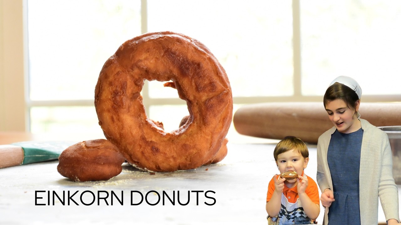Easy and Delicious Einkorn Donuts - In The Kitchen with Kaitlyn
