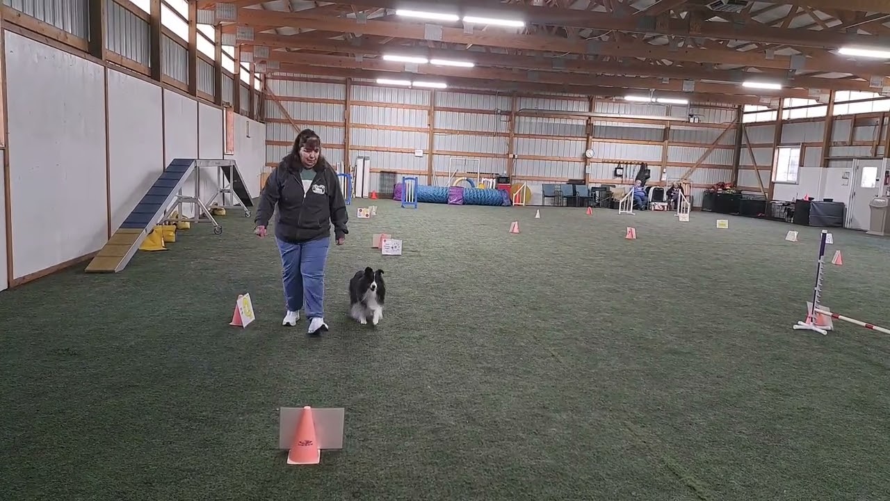 Diamond - Rally Excellent - Course #2