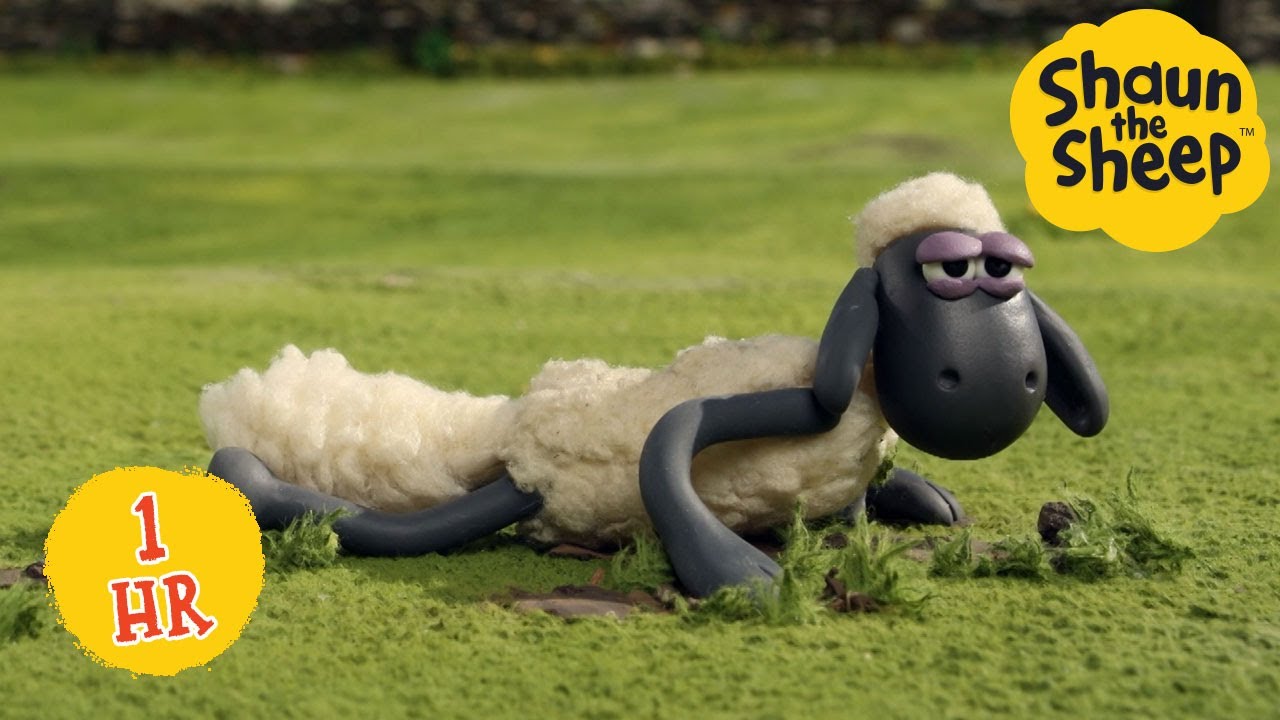1 HOUR of Shaun the Sheep 🥳 | Shaun the Sheep & Friends | Cartoons for Kids