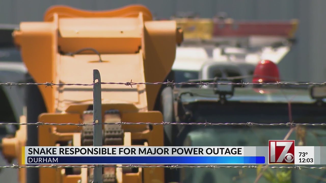 Snake responsible for major Durham outage