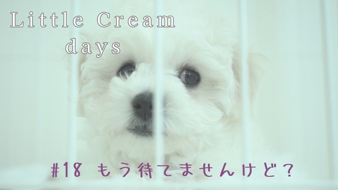 クリームデイズ｜#018  もう待てませんけど？