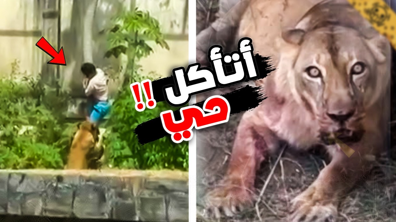 مقاطع مرعبة لأشخاص قبل اللحظات الأخيرة !! 4#
