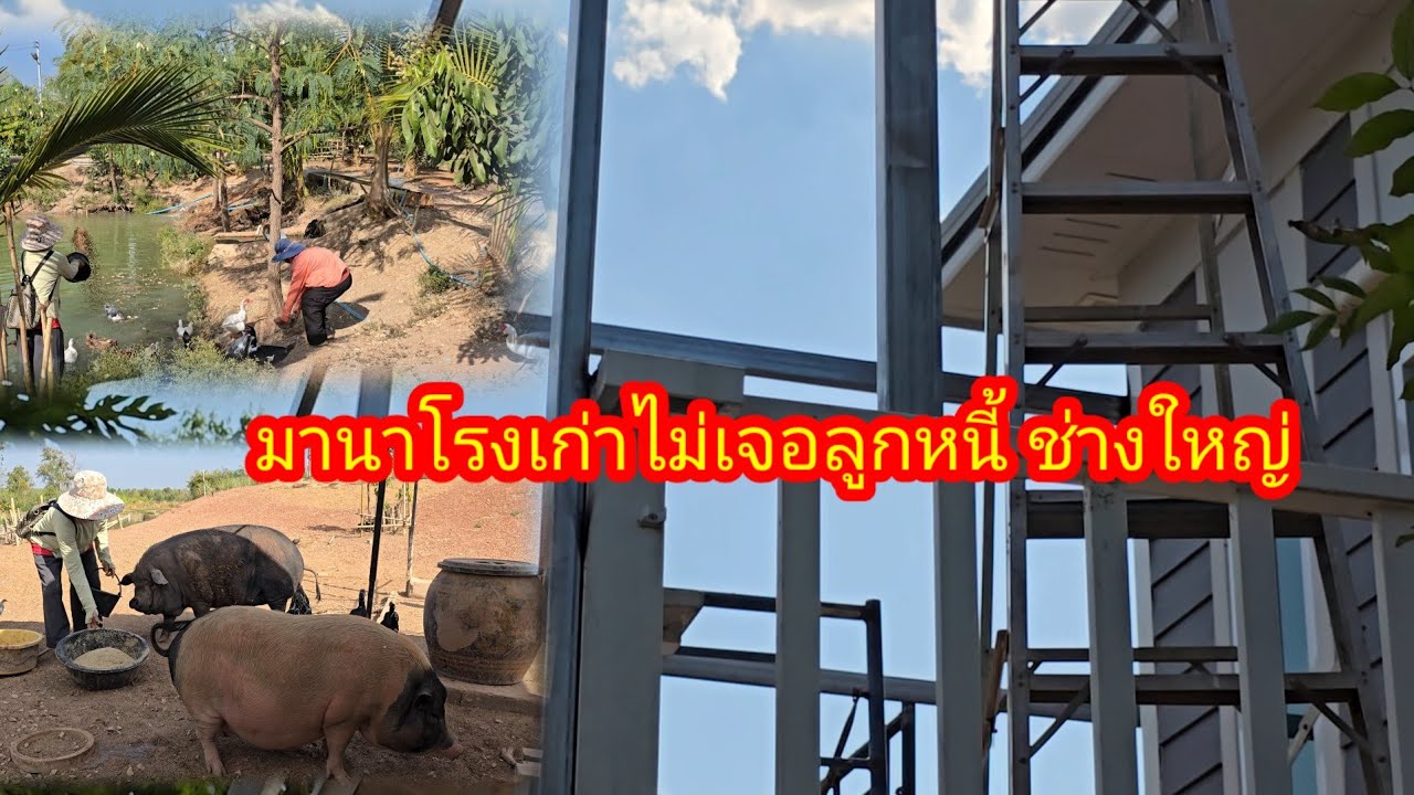 มาตามหาช่างใหญ่กับน้องหมิว #ป้าแต๋นชาเเนล 