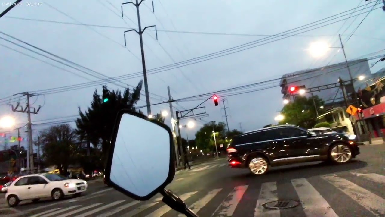 Imbeciles al volante