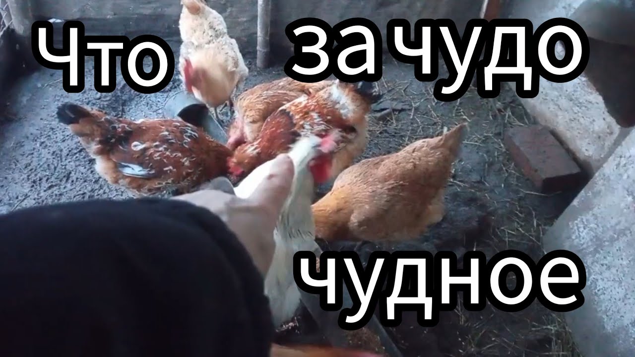Я В ШОКЕ⚡ Не верю своим глазам. Первый раз такое, необычное явление.. для меня 🤔