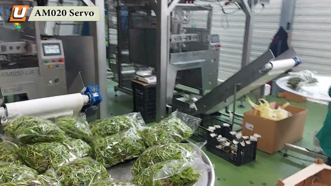 Fresh Salad Packaging Plant