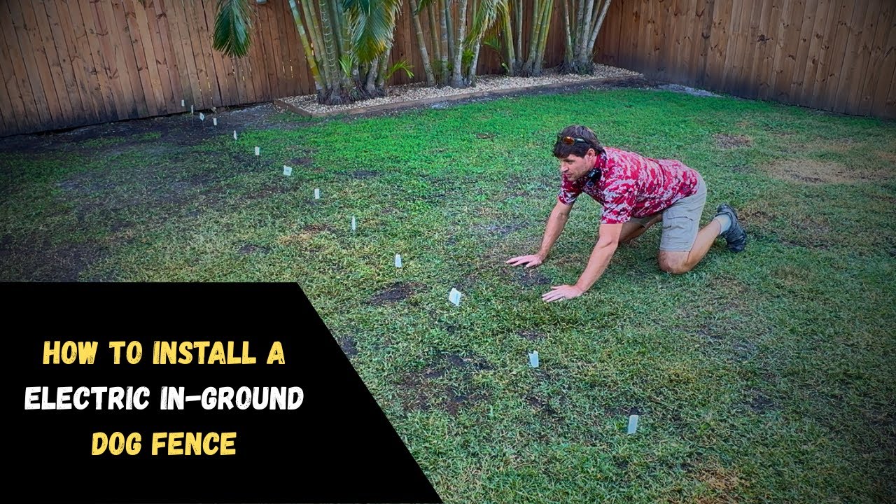 How to Install an Invisible Dog Fence (Step-By-Step In-Ground Electric Dog Fence Guide)