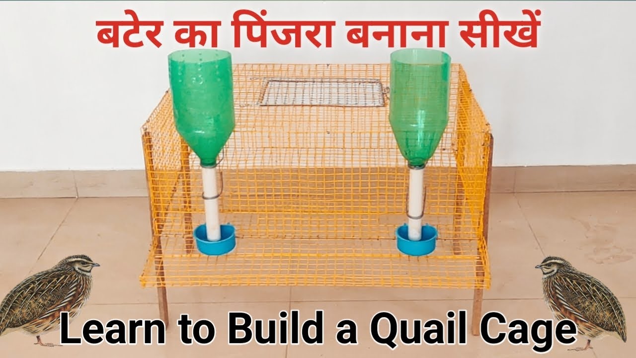 Learn to build a Quail cage, बटेर का पिंजरा बनाना सीखें।