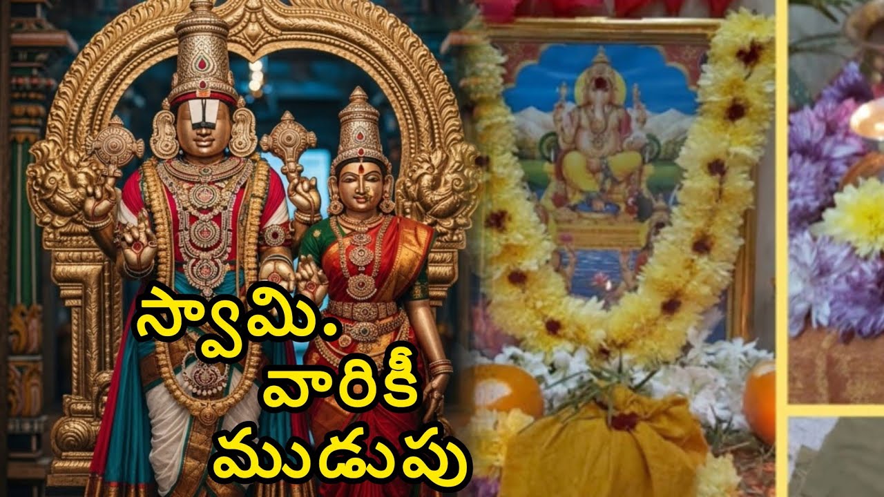 కలియుగ దైవం అయిన శ్రీ వేంకటేశ్వర స్వామి వారికి ముడుపు కట్టుకునే విధానం #devotional vlog 27