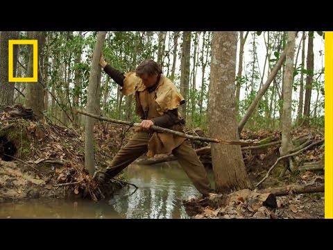 Trip to Trap | Live Free or Die