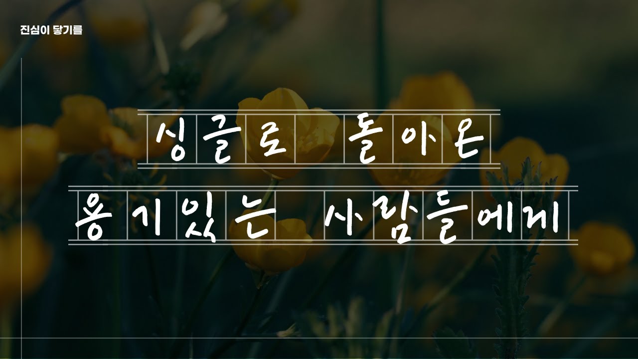 싱글로 돌아온 용기있는 사람들에게 | 괜찮아요, 그리고 고생했어요! #새로운시작 #이혼 #따뜻한