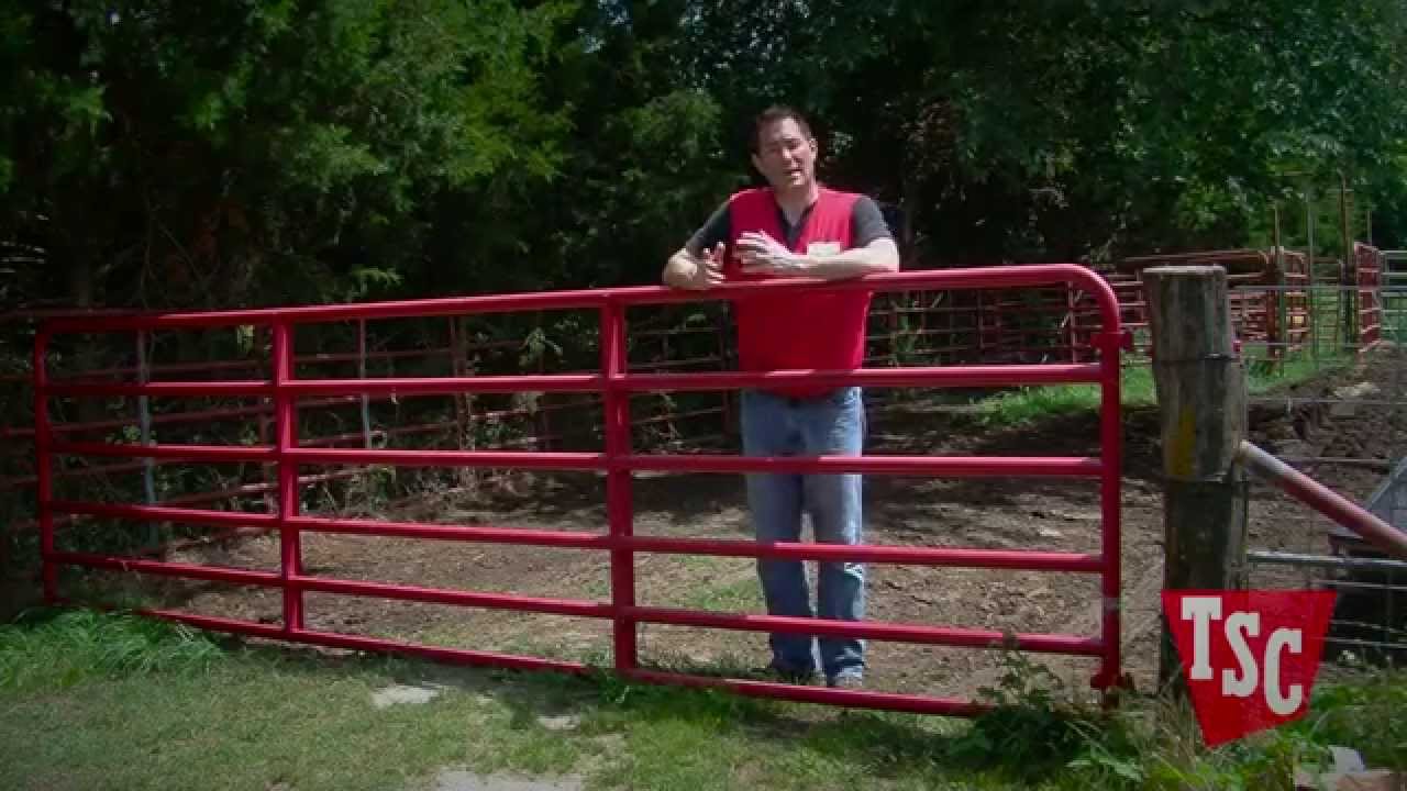 How to Choose the Right Electric Fence | Tractor Supply Co.