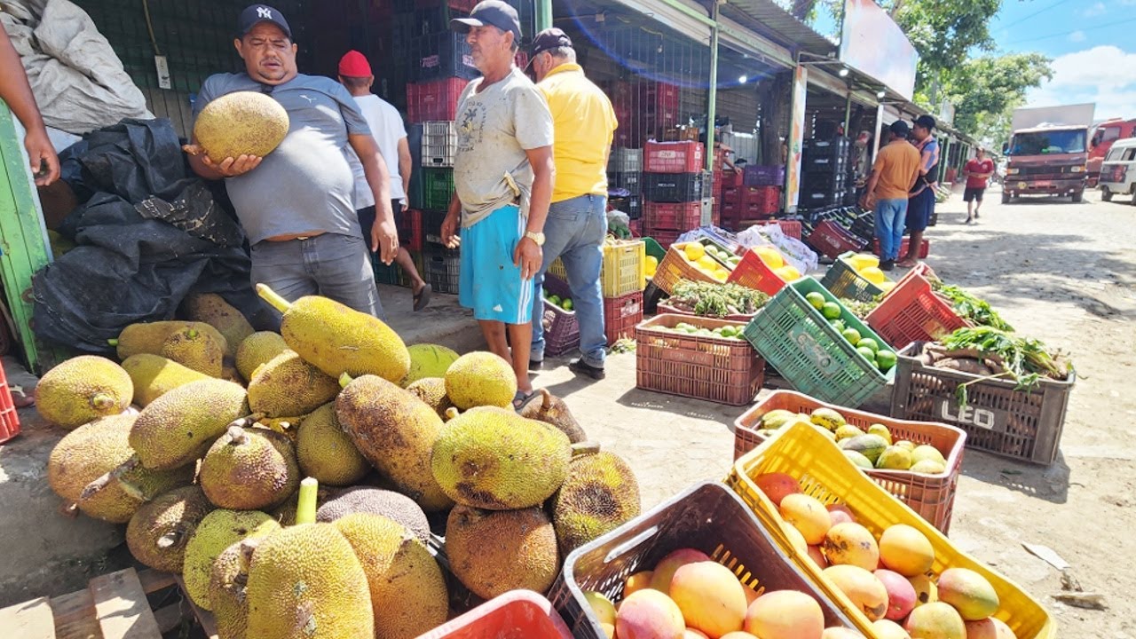 JACA E MANGA QUASE DE GRAÇA NA CEACA EM CARUARU-PE