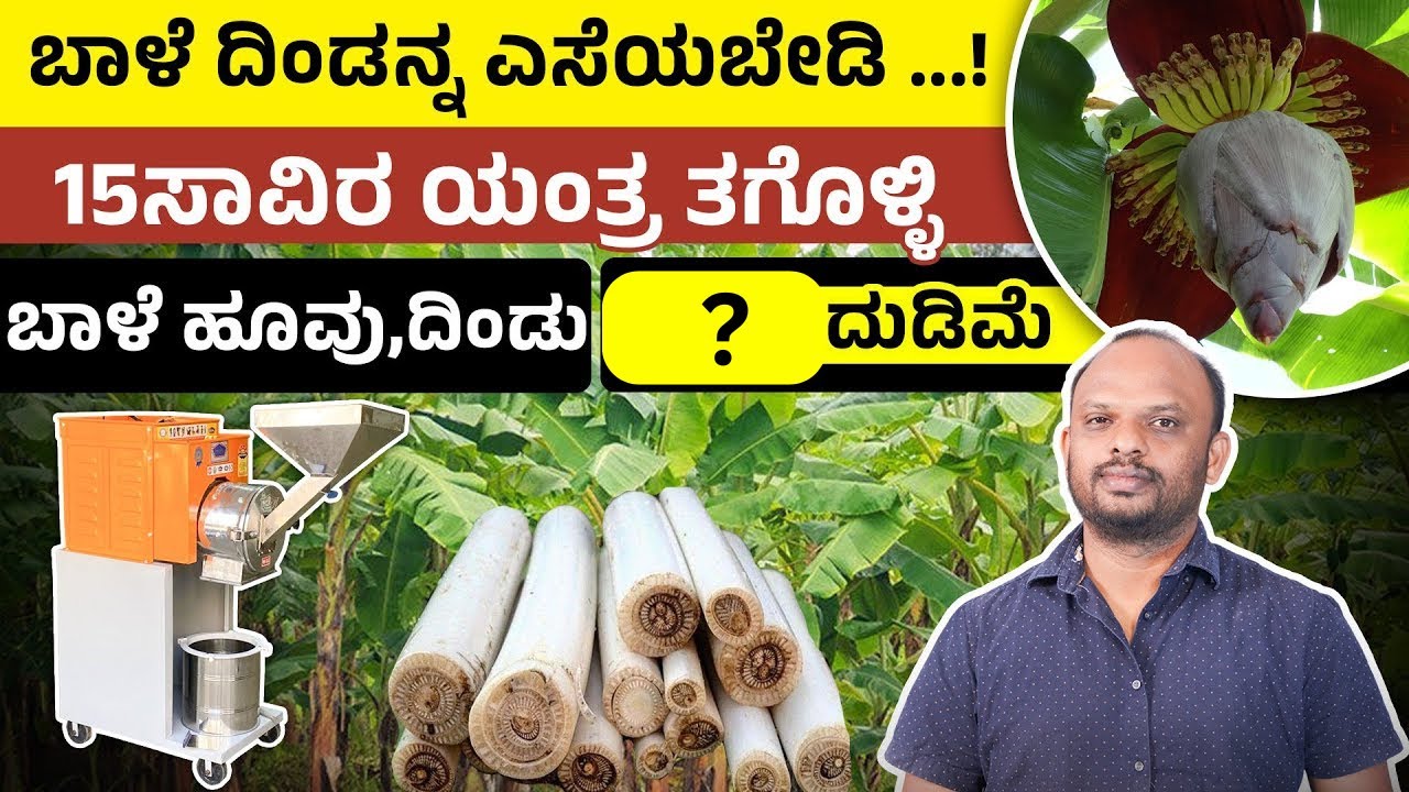 ಬಾಳೆ ಗಿಡದಿಂದ ಏಷ್ಟೊಂದು ಪ್ರಯೋಜನ ಇದೆ ಗೊತ್ತಾ? Value Added Products From Banana Waste | Agripreneurship